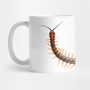 Giant Centipede Creepy Crawly Mug